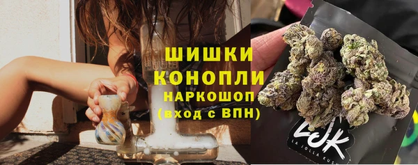 гидра Арсеньев