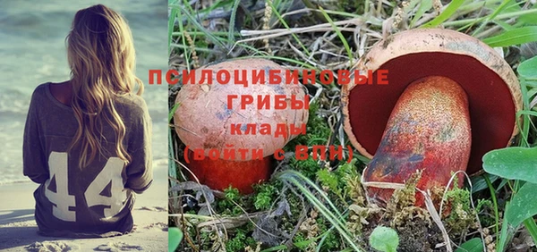 гидра Арсеньев