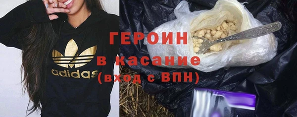 гидра Арсеньев