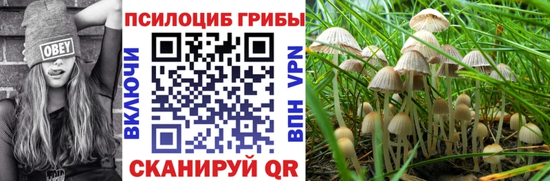 Галлюциногенные грибы мицелий  Красноуфимск 